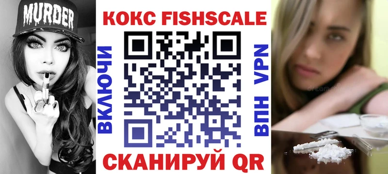 КОКАИН Fish Scale  где купить наркотик  Андреаполь 