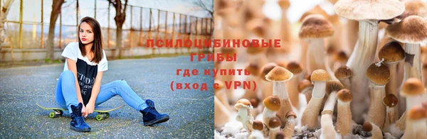 2c-b Нея