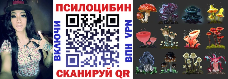 Галлюциногенные грибы Psilocybe  Андреаполь 